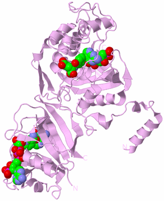 Image Biological Unit 3