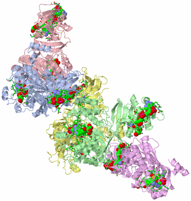 Image Asym. Unit - sites