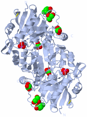 Image Biological Unit 1