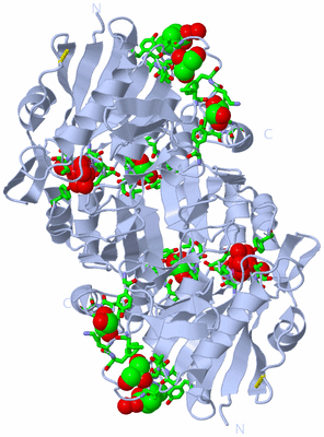 Image Biol. Unit 1 - sites