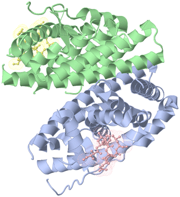 Image Biological Unit 3