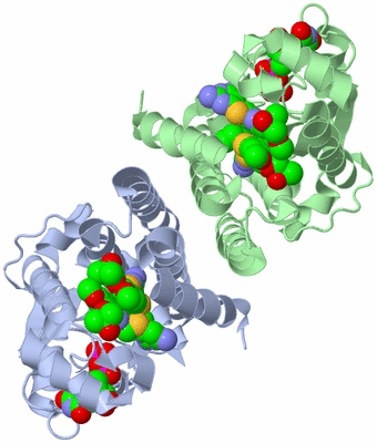 Image Asym./Biol. Unit