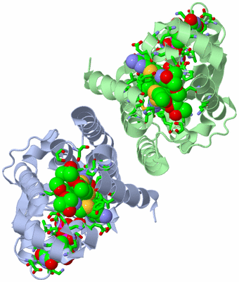 Image Asym./Biol. Unit - sites