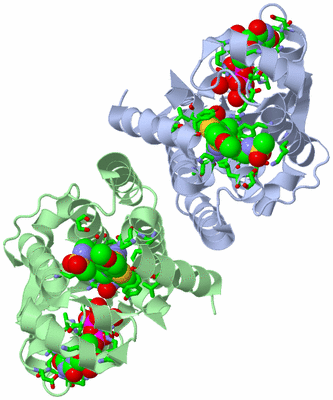 Image Asym./Biol. Unit - sites