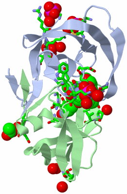 Image Asym./Biol. Unit - sites