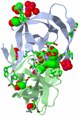 Image Asym./Biol. Unit - sites