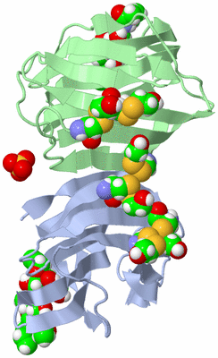 Image Biological Unit 1