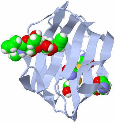 Image Biological Unit 2