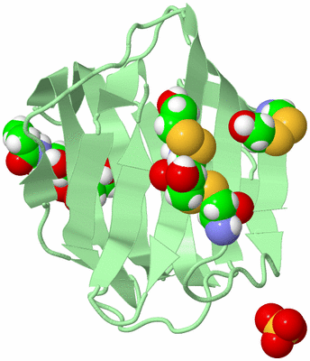 Image Biological Unit 3