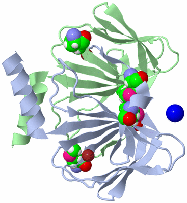 Image Biological Unit 1