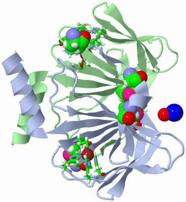 Image Biol. Unit 1 - sites