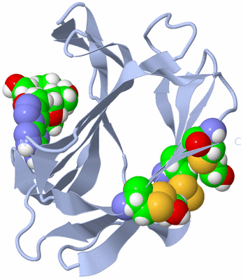 Image Biological Unit 2