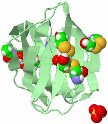 Image Biological Unit 3