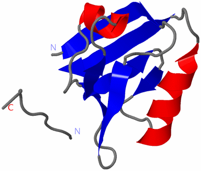 Image Asymmetric Unit