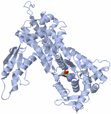 Image Biological Unit 1