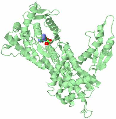 Image Biological Unit 2