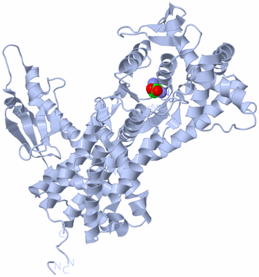 Image Biological Unit 1