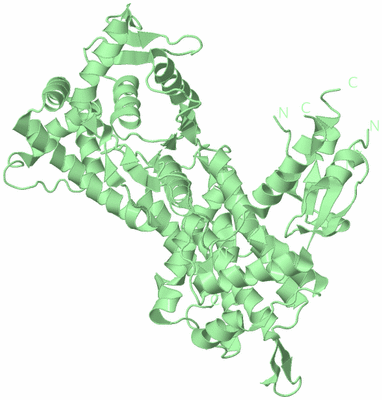 Image Biological Unit 2