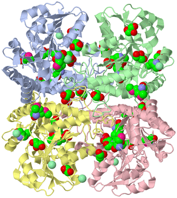 Image Biological Unit 1