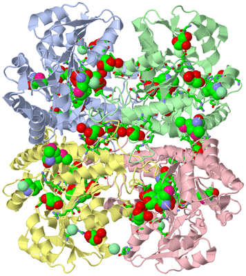 Image Biol. Unit 1 - sites