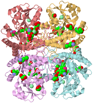 Image Biological Unit 2