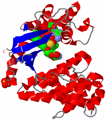 Image Asym./Biol. Unit