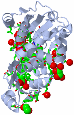 Image Biol. Unit 1 - sites