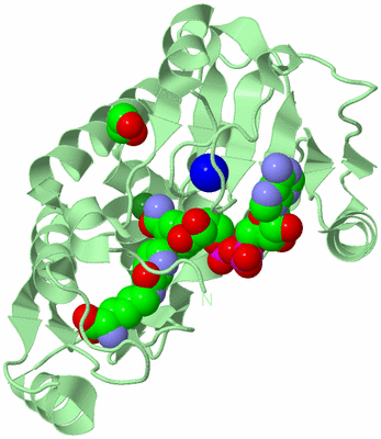 Image Biological Unit 2