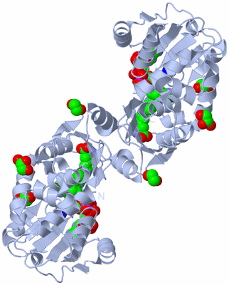 Image Biological Unit 3