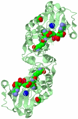 Image Biological Unit 4