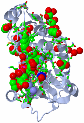 Image Biol. Unit 1 - sites