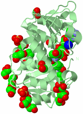 Image Biological Unit 2