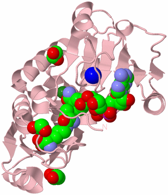 Image Biological Unit 3