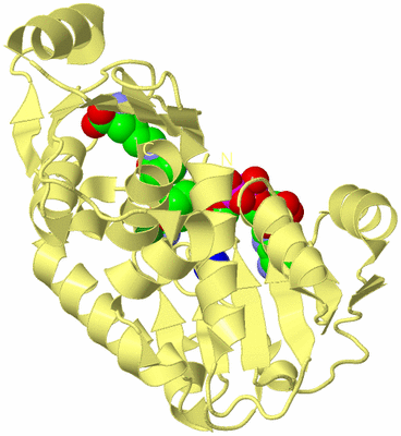 Image Biological Unit 4