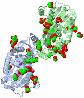 Image Biological Unit 5