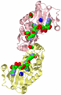 Image Biological Unit 6