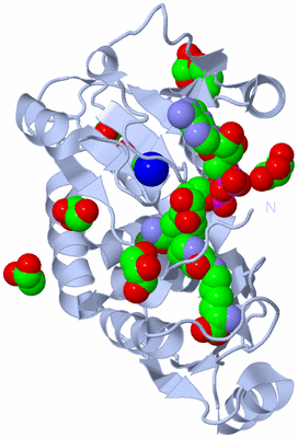 Image Biological Unit 1