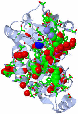 Image Biol. Unit 1 - sites