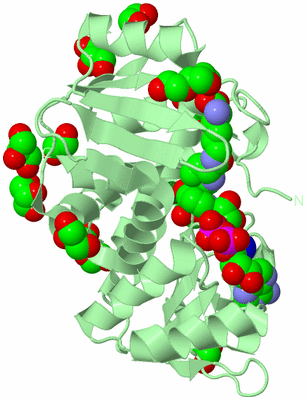 Image Biological Unit 2