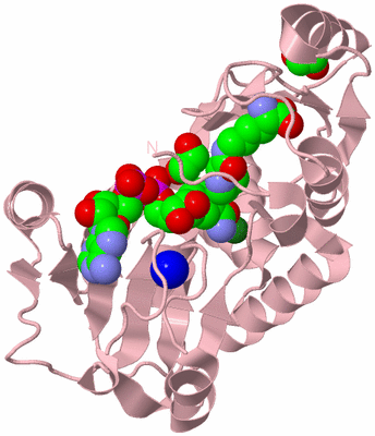 Image Biological Unit 3