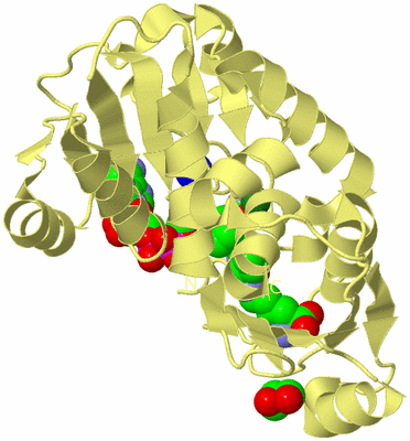 Image Biological Unit 4