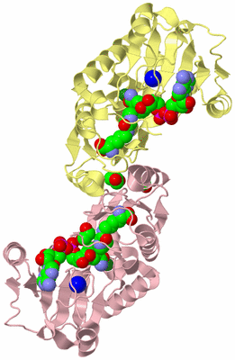 Image Biological Unit 6