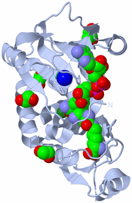 Image Biological Unit 1