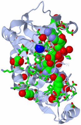 Image Biol. Unit 1 - sites