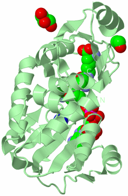 Image Biological Unit 2