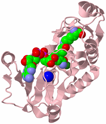 Image Biological Unit 3