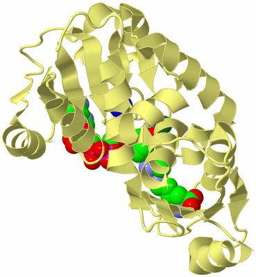 Image Biological Unit 4