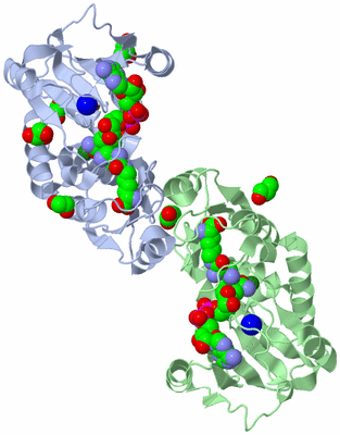 Image Biological Unit 5