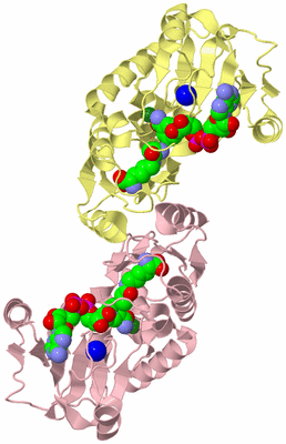 Image Biological Unit 6