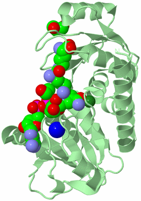 Image Biological Unit 2